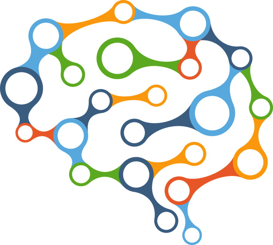 Alimentación complementaria: ¿cuándo comenzar?