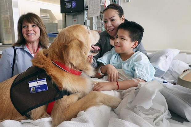 La importancia de las mascotas en el neurodesarrollo infantil