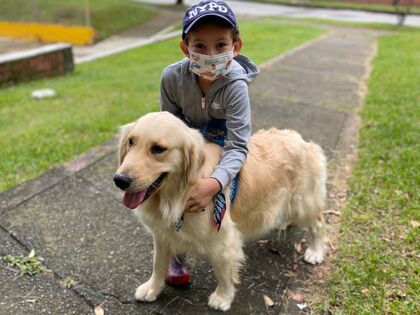 La importancia de las mascotas en el neurodesarrollo infantil