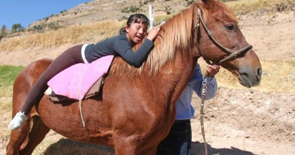 Equinoterapia: caballos que curan