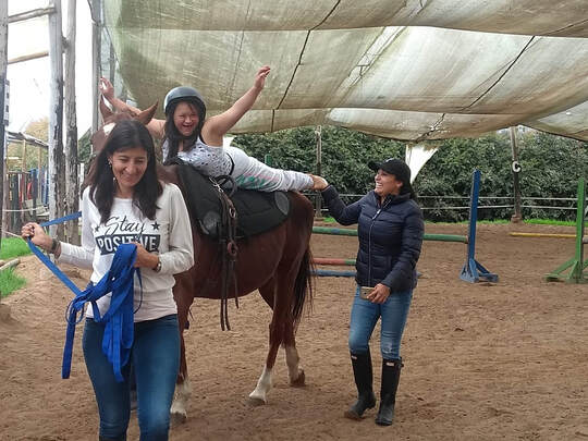 Equinoterapia: caballos que curan