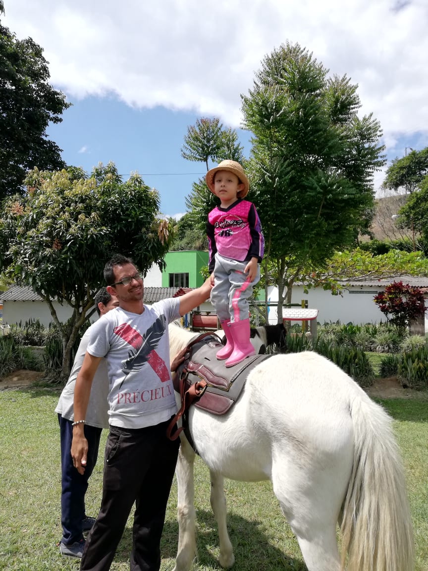 Equinoterapia: caballos que curan