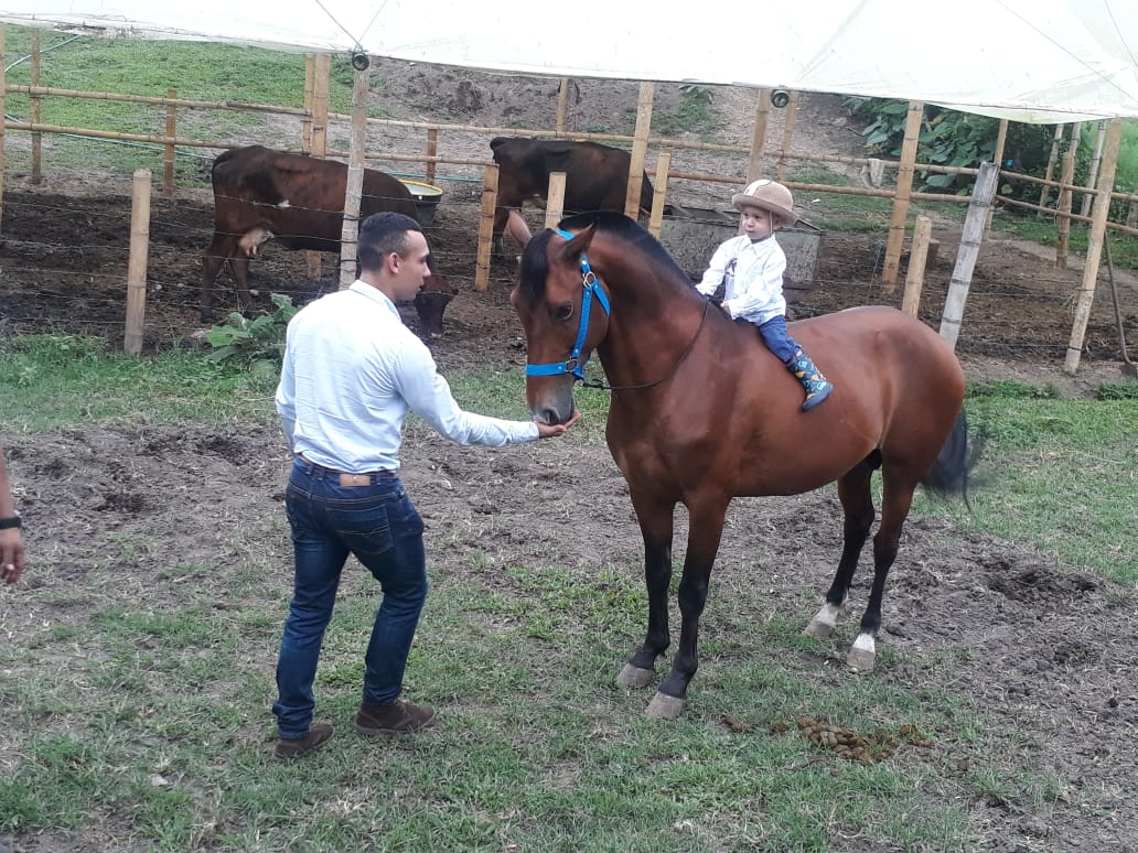 Equinoterapia: caballos que curan