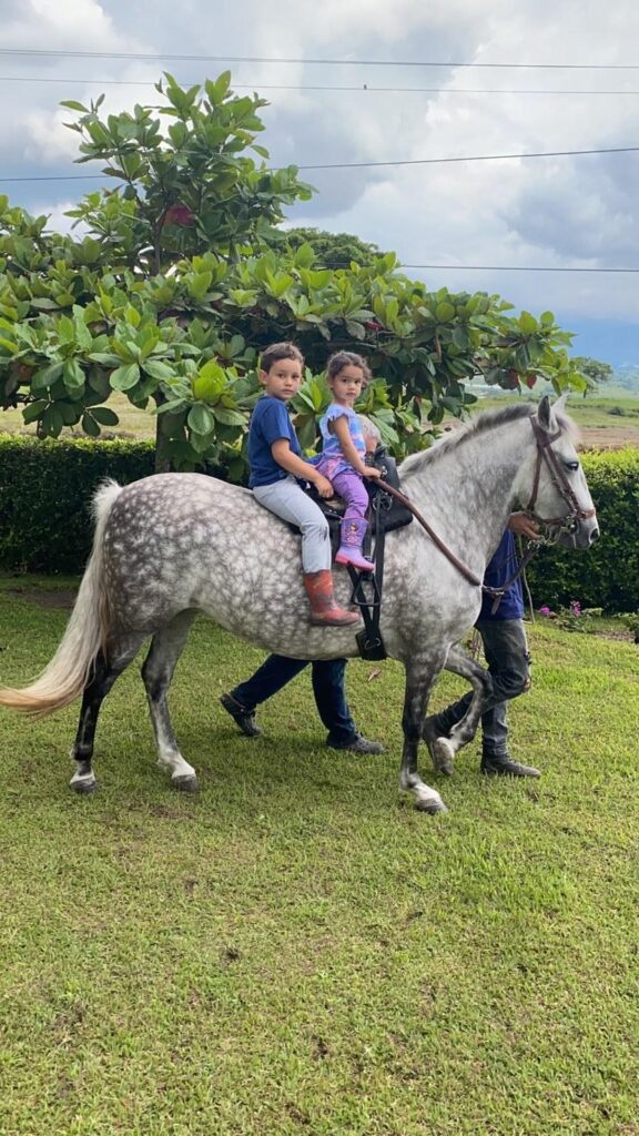 Equinoterapia: caballos que curan