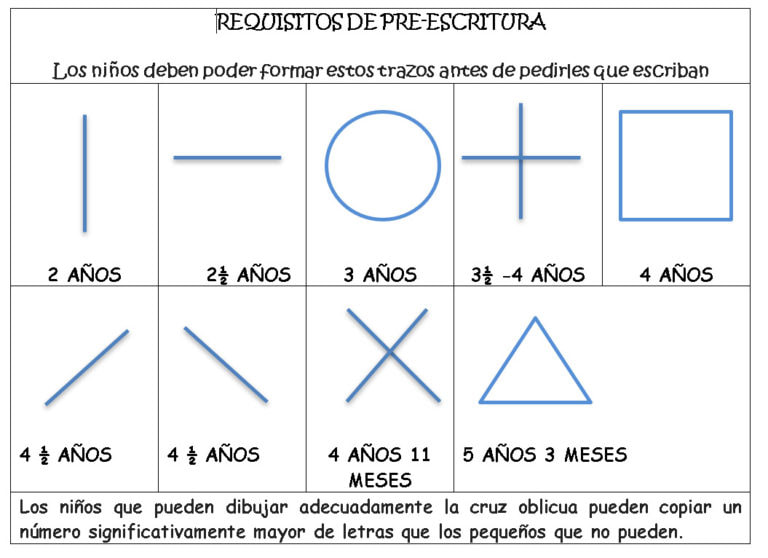 Neuronas en crecimiento: la pinza manual, una habilidad esencial